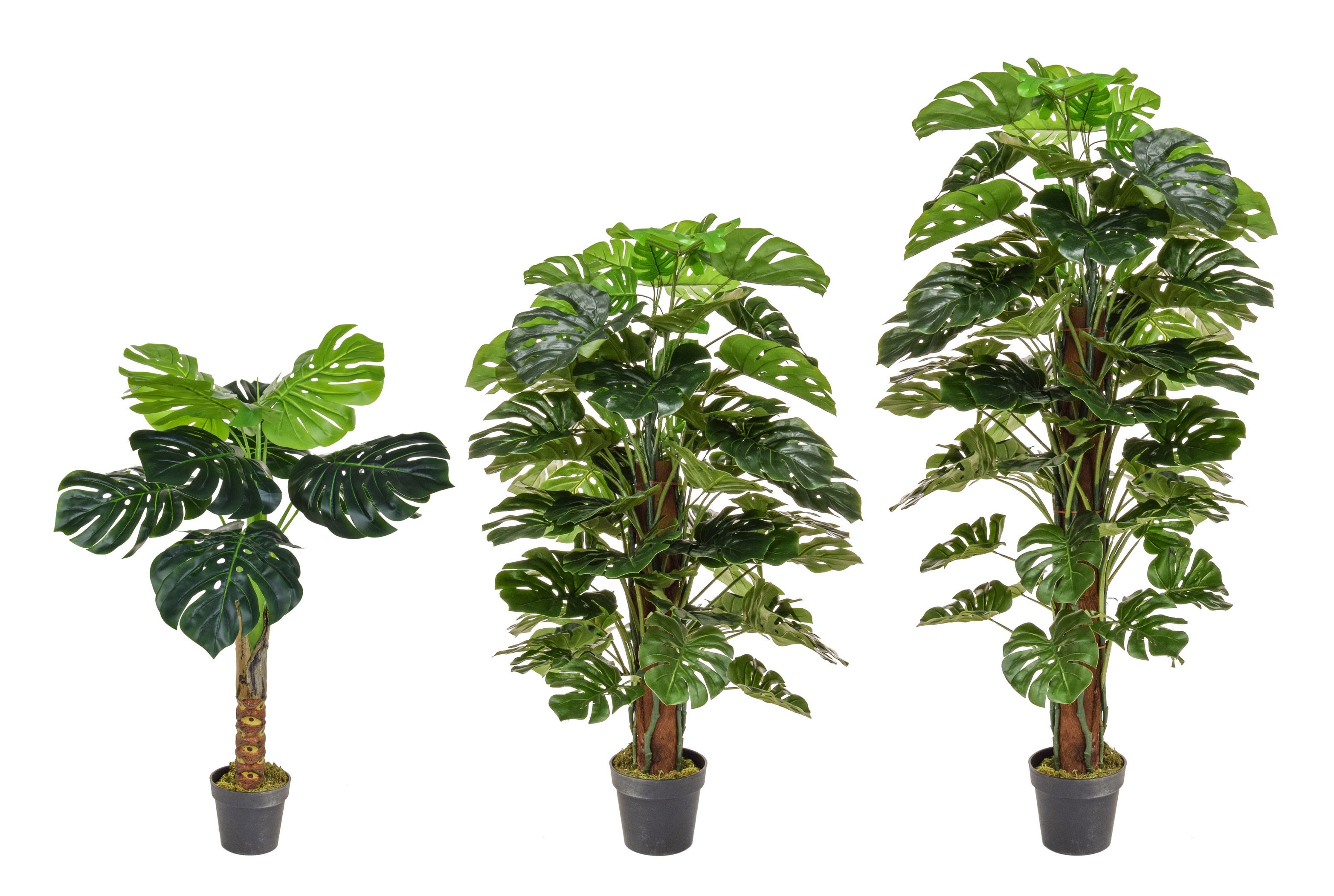 Artificial Tropical & Exotic Trees from plantART